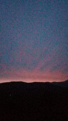 IMG-20190810-WA0011
